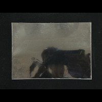 Protective Sleeve for Banknotes